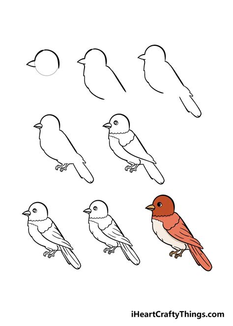 how to draw birds step by step.